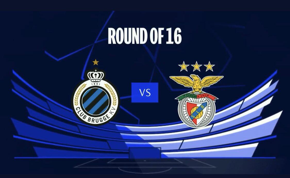 猫粮包装设计_东莞产品包装盒设计